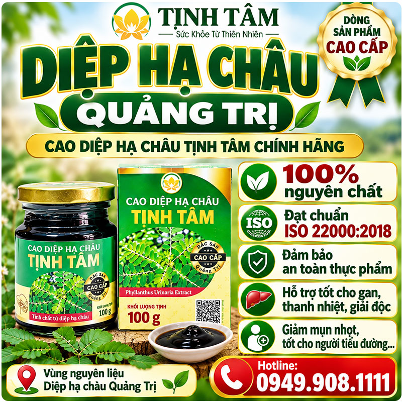 cao-diep-ha-chau-tot-nhat