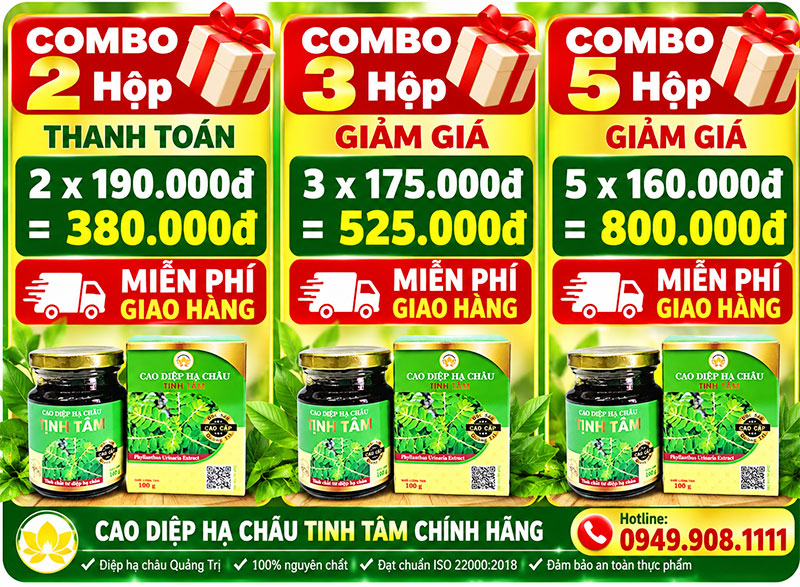 COMBO ƯU ĐÃI CAO DIỆP HẠ CHÂU