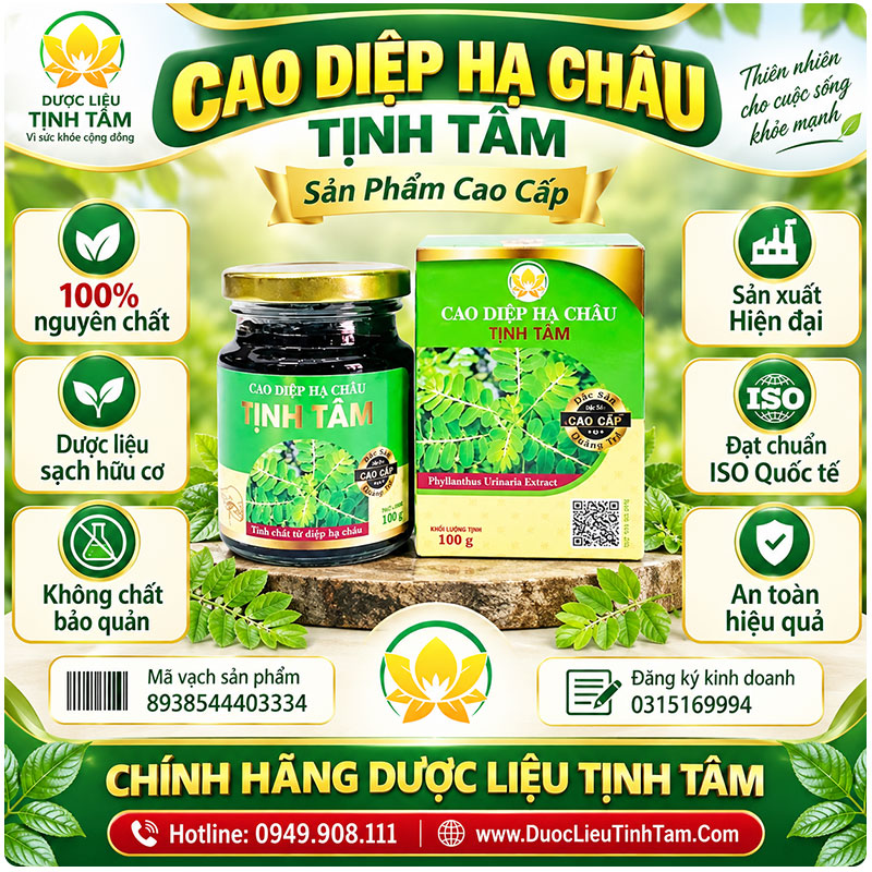tieu chuẩn cao diệp ha châu