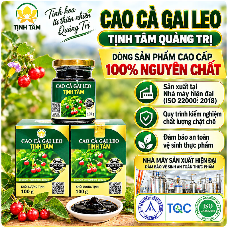 cao-ca-gai-leo-1