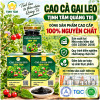 cao-ca-gai-leo-1