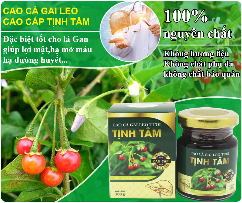 cao cà gai leo