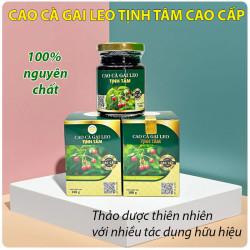 cao ca gai leo tinh tam