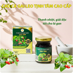 cao ca gai leo