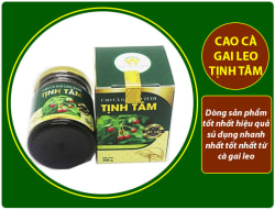 cao-ca-gai-leo-tot-nhat