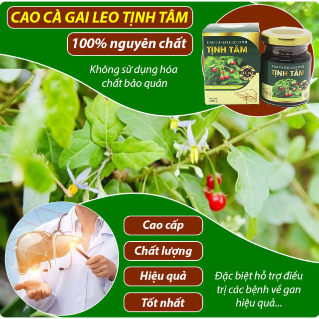 cao-ca-gai-leo-tot-nhat-112233