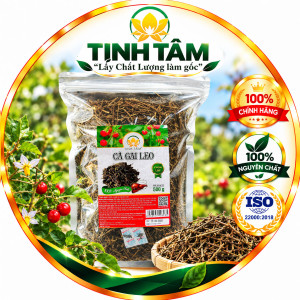 cà gai leo sấy khô