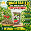 ca-gai-leo-say-kho-sao-vang