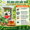 cach-du-dung-ca-gai-leo