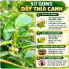 cach-su-dung-day-thia-canh