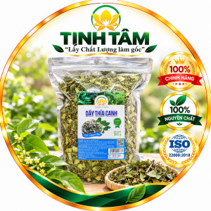 dây thìa canh
