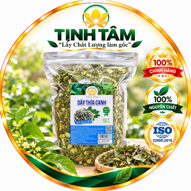 dây thìa canh