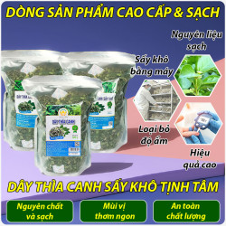 day-thia-canh-say-kho-112233