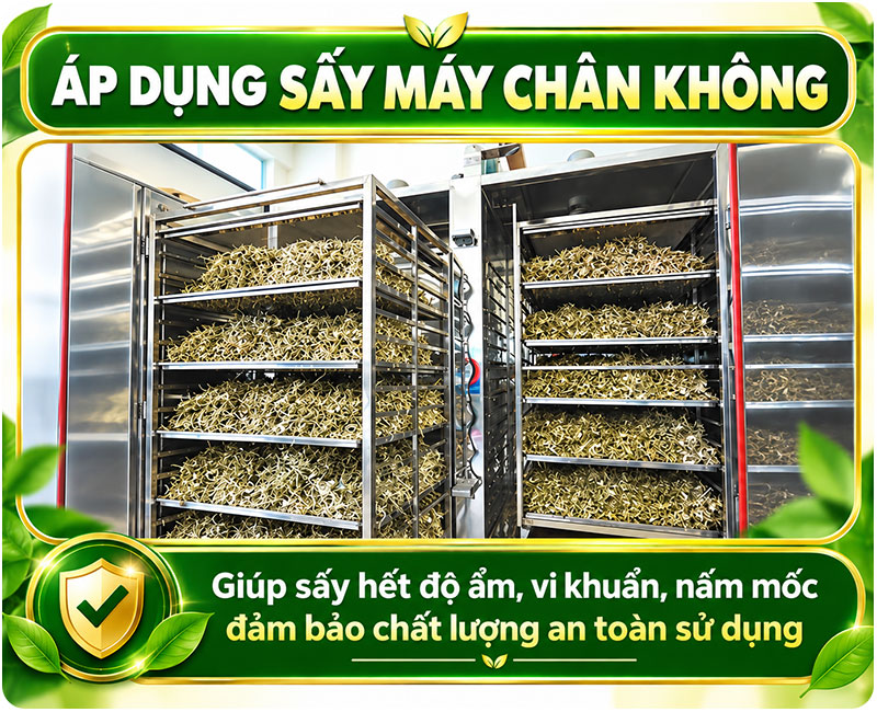 may-say-chan-khong