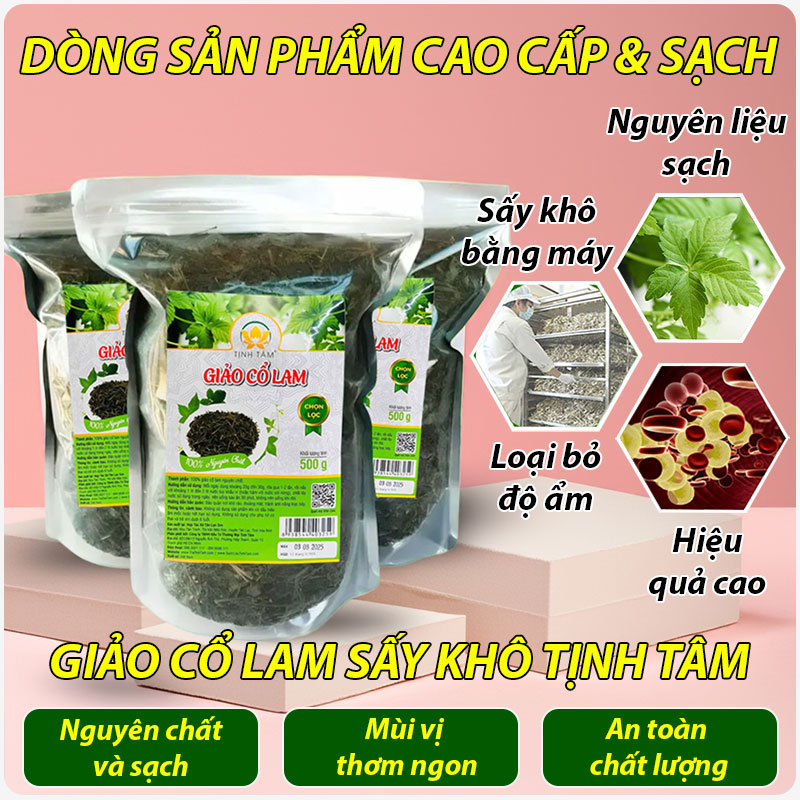 giảo cổ lam sấy khô