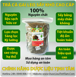 trà cà gai leio tịnh tâm