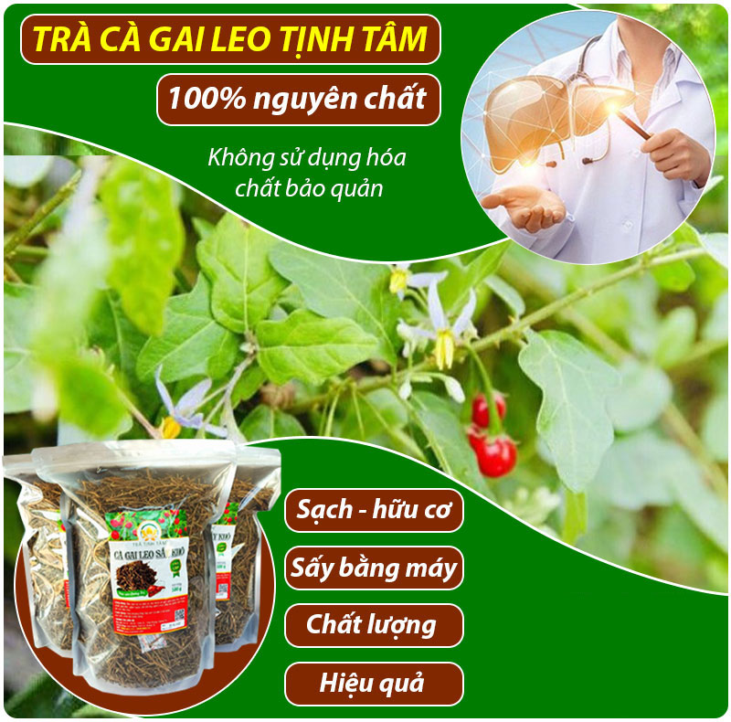 tra-ca-gai-leo-say-kho-cao-cap-500gr-111