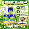 TINH-CHAT-CAO-DAY-THIA-CANH
