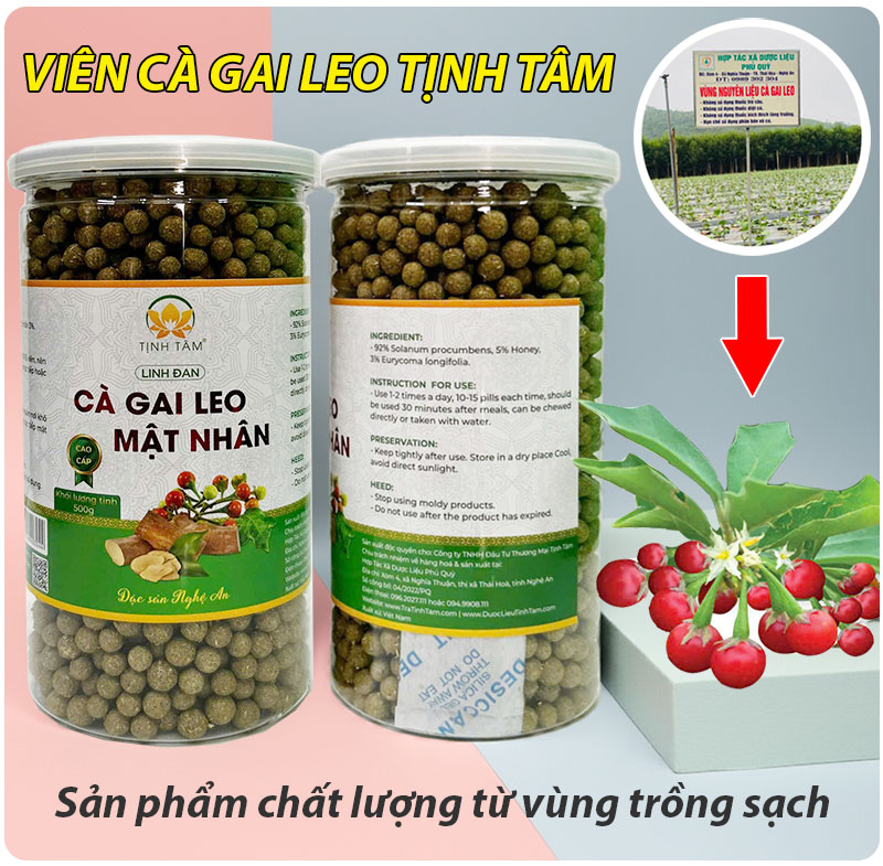 VIEN-CA-GAI-LEO-SACH
