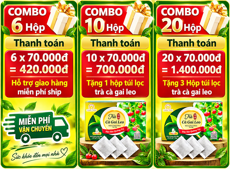 ưu đĩa trà cà gai leo