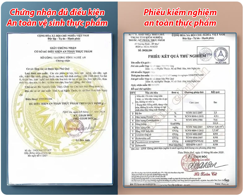 giay-chung-nhan-ca-gai-leo