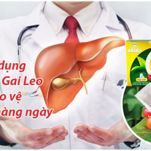 su-dung-tra-ca-gai-leo