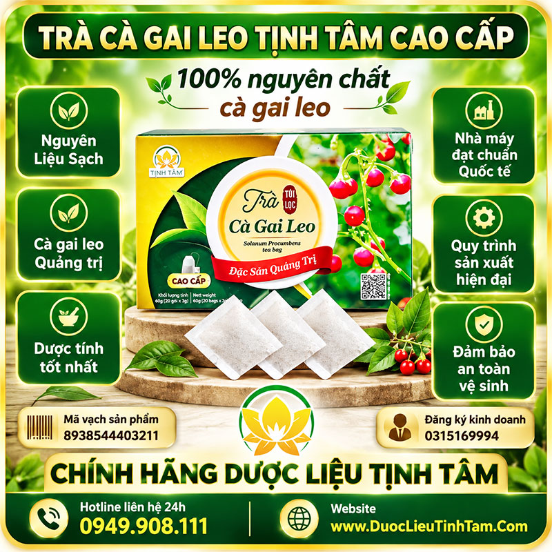 tieu-chuan-tra-ca-gai-leo