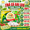 tra-ca-gai-leo-tui-loc-1 tra-ca-gai-leo-tui-loc-1