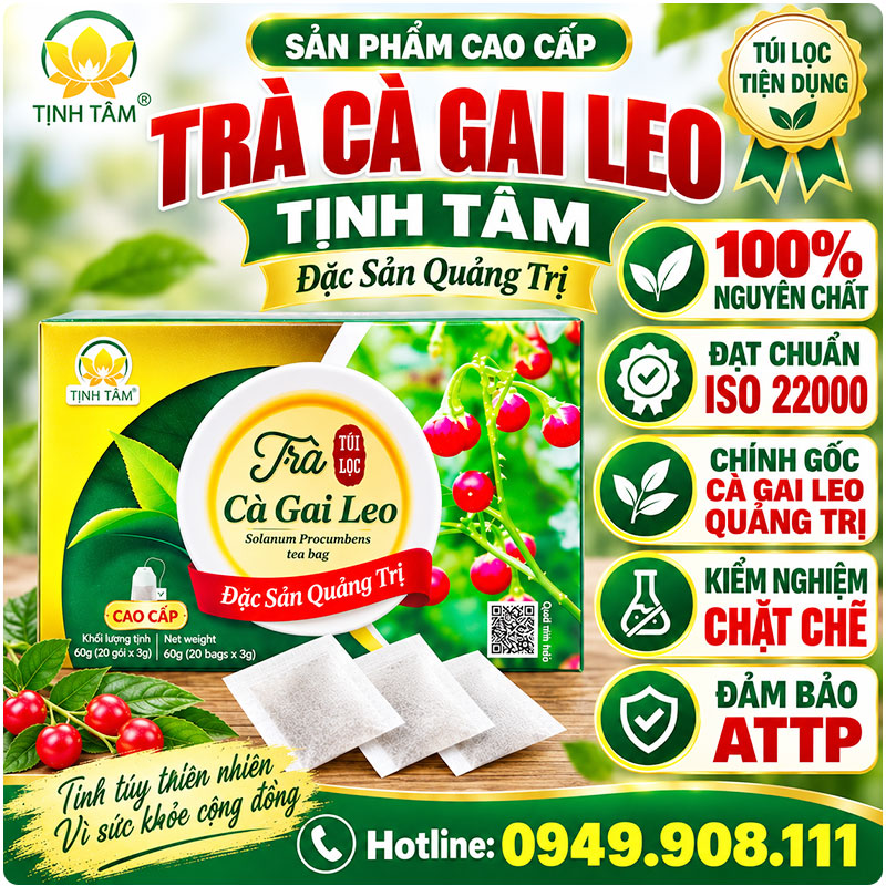 TRÀ CÀ GAI LEO TÚI LỌC