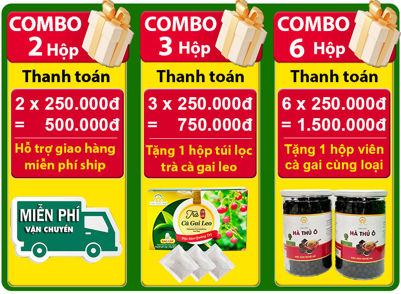 combo uu dai vien ha thu o