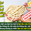 hat-sen-hue-tinh-tam hat-sen-hue-tinh-tam