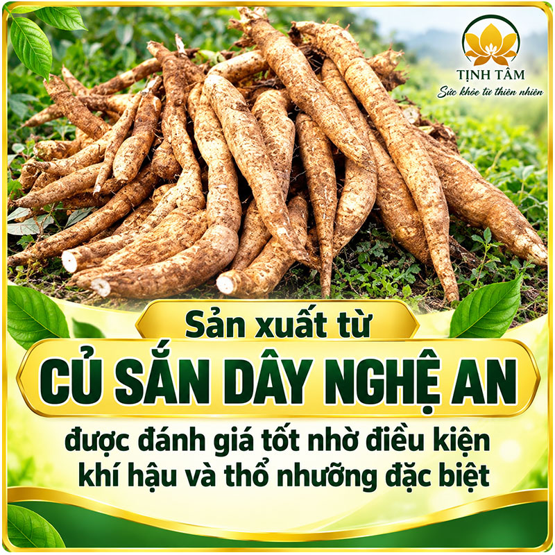 nguyen-lieu-san-day