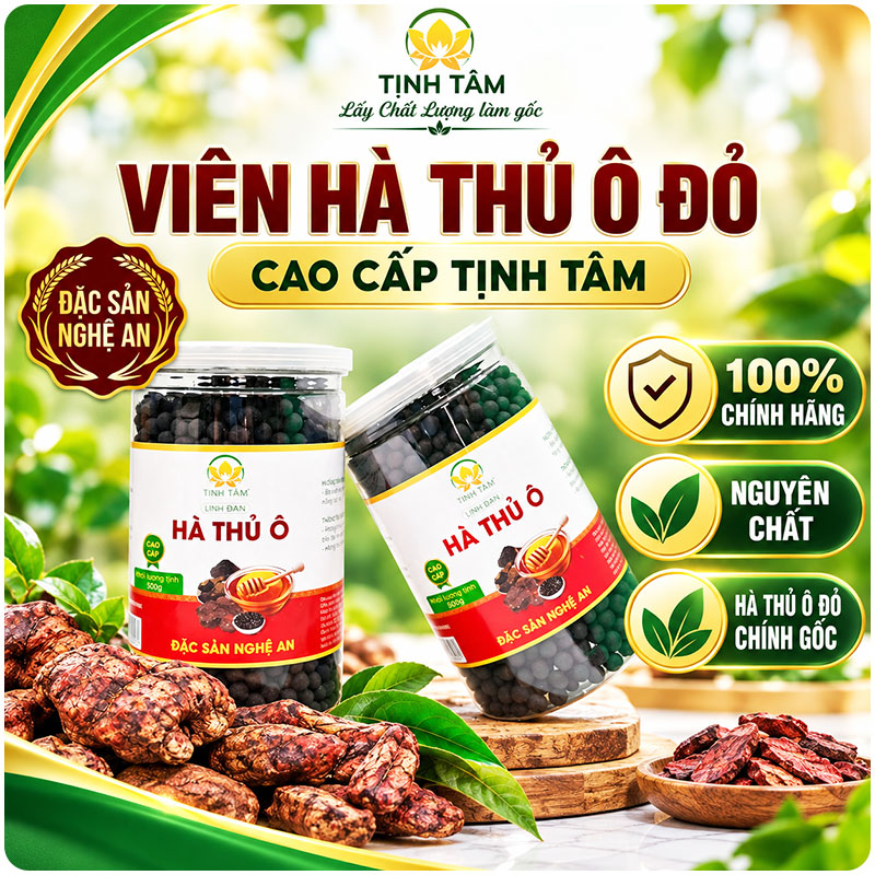 vien-ha-thu-o-do-2