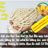 hat-sen-hue-tinh-tam-cao-cap-loai-1 hat-sen-hue-tinh-tam-cao-cap-loai-1