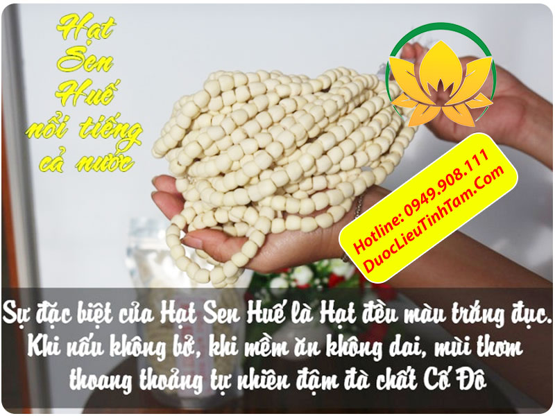 hạt sen huế