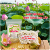 hat-sen-hue-tinh-tam-loai-cao-cap hat-sen-hue-tinh-tam-loai-cao-cap