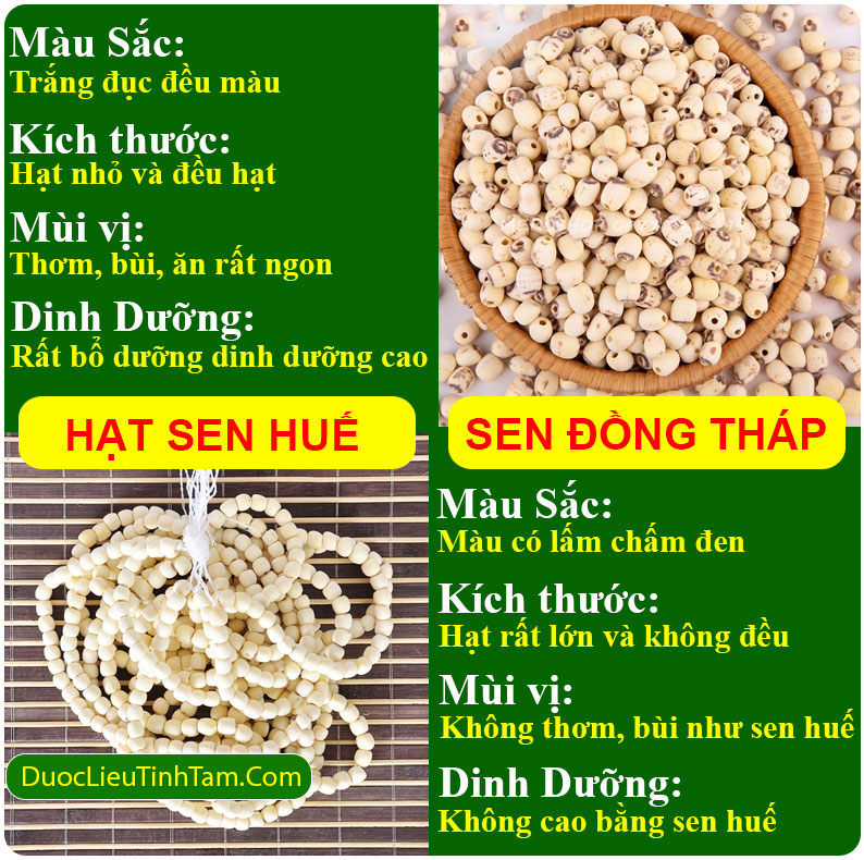 Phân biệt hạt sen huế